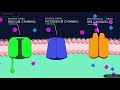 Neurons and Action Potentials: Exploring Signal Transmission and Ion Movement