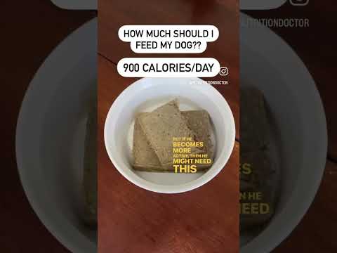 How much should you feed your dog