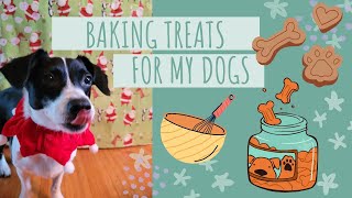 Baking Holiday Treats for my Dogs by Caitlin G 35 views 4 months ago 6 minutes, 29 seconds