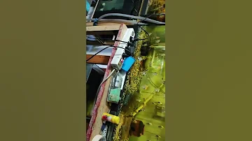 первая икра у раков🦞🦞🦞