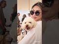 Chú chó cứu hộ “ẵm spotlight” tại Cannes
