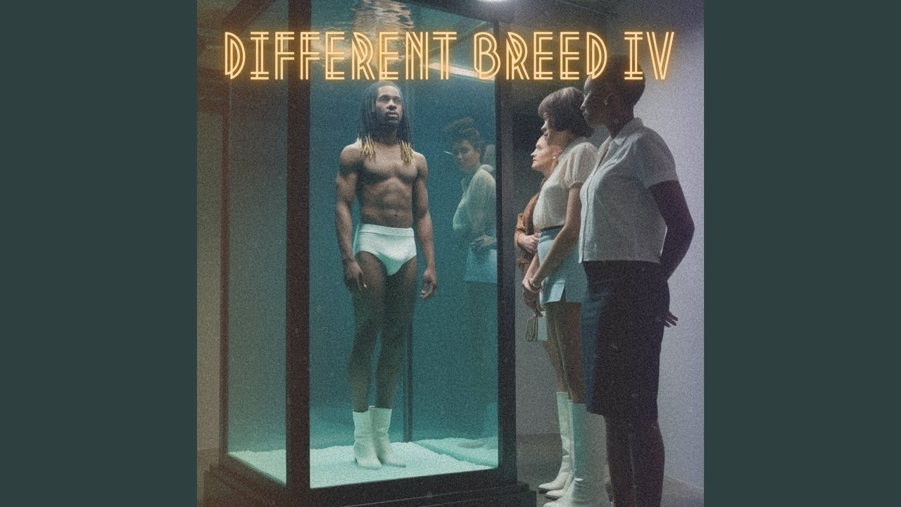 Watch PROVE IT on YouTube Watch PROVE IT on YouTube