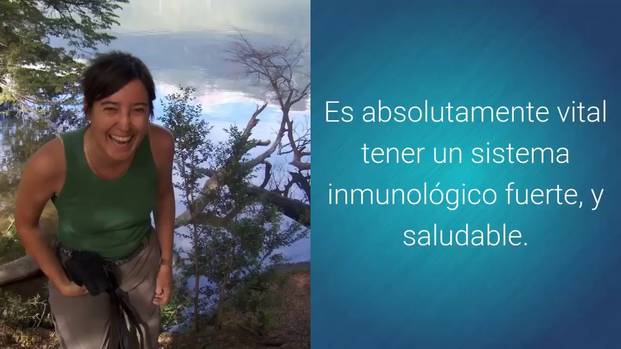10 Alimentos para Fortalecer Sistema Inmunológico. - YouTube