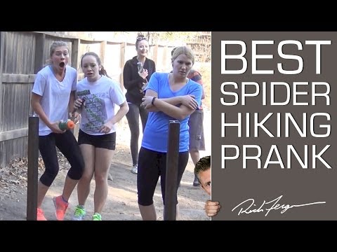 best-tarantula-spider-prank-ever!