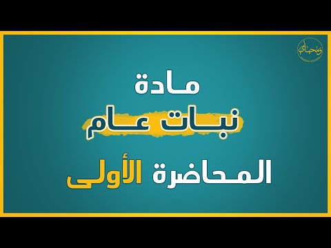 فيديو: استعادة المحاسبة والتقارير من قبل طرف ثالث