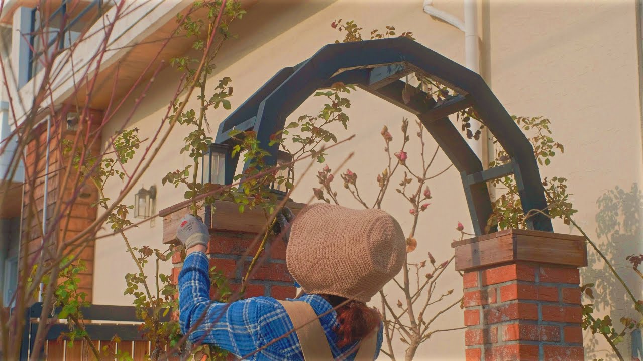 Решаю повседневные проблемы шаг за шагом | Украшаю маленький сад и обрезаю розы 🌷