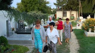 Évfolyam Találkozó 1966 2011