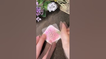 Zentangle Pattern #HamSix 禪繞畫 禪繞圖樣 (N.1694) Eva Wu Zendoodle 禅绕画 ゼンタングル ZIA #shorts