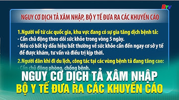 Nguy cơ dịch tả xâm nhập, Bộ Y tế đưa ra các khuyến cáo