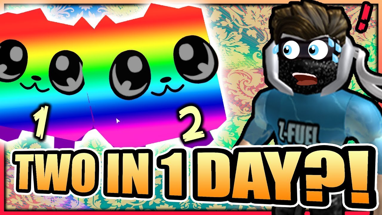 This Rainbow Dogcat Secret Pet Is Insane Bubblegum Simulator Roblox