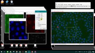 How to crop specific region in image J #imagej  #imageprocessing