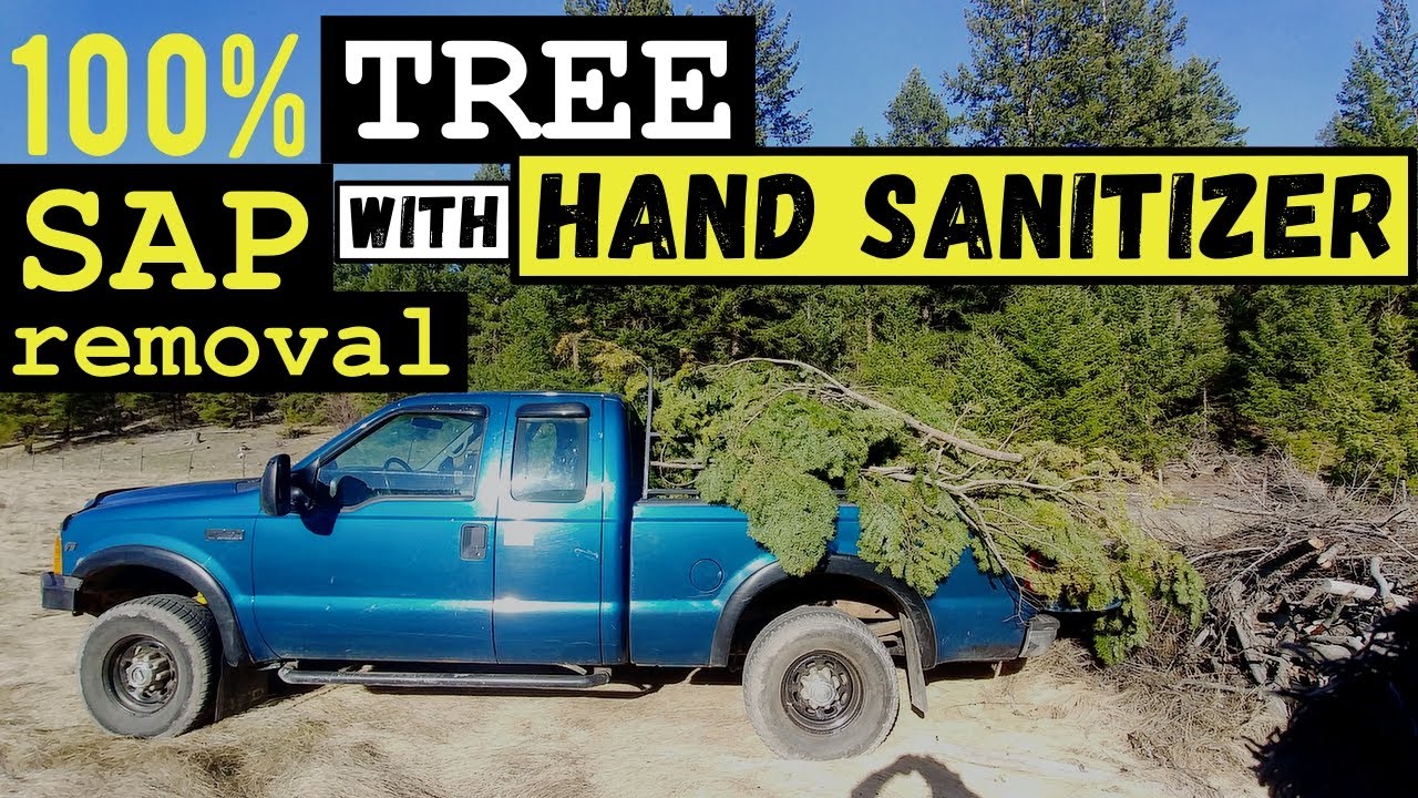 The BEST Tree Sap Removal Product for your Car is? 