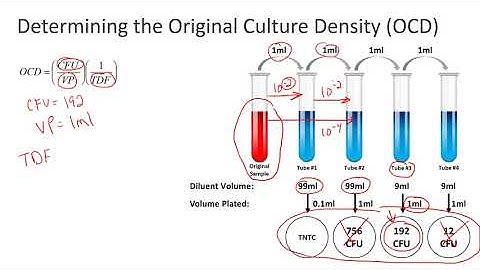 Determining the Original Culture Density OCD