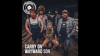 Steve'n'seagulls - Carry On Wayward Son (Live)