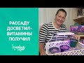 Рассаду ДОСВЕТИЛ  - витамины получил. Фитолампы(фитосветильник) для роста растений дома.