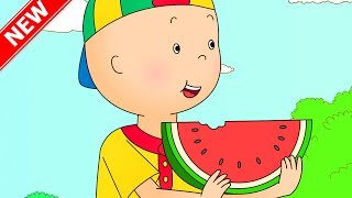 ★NEW★ CAILLOU AT THE PIC NIC | Funny Animated Videos For Kids