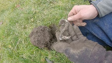 1st vid of 2020 using the Nokta Makro Simplex plus . 1800