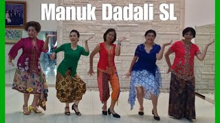 Manuk Dadali SL Line Dance (demo & count)