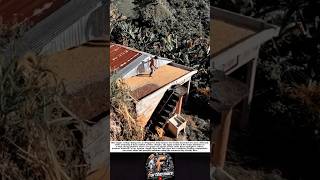 Smart Rooftop Rice Drying System in Mountain Villages! #shorts