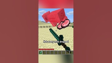Thumbnail of useless pig