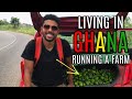 LIVING IN GHANA | RUNNING A 10 ACRE FARM GROWING FRUIT & VEG AS A BUSINESS | Agriculture