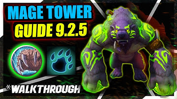 Guardian Druid Mage Tower GUIDE WoW: Dragonflight 10.0.5 | POV BOOST BUY | WALKTHROUGH