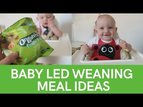 what-my-baby-eats-in-a-day-(6-months-old)-|-baby-led-weaning-|-ad