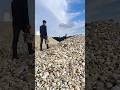 I'm looking for rocks in a pile of rock quarries#gemstones #gems