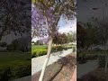 ايه ياحلوه