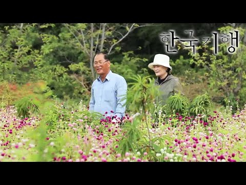 한국기행 - <strong>Korea</strong> travel_한번쯤 로망대로 3부- 나의 정원 일지_#<strong>001</strong>