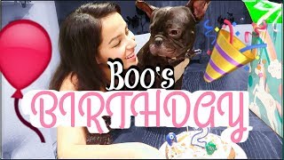 BOO TURNS 2 YEARS OLD