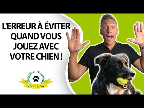 Vidéo: Du vétérinaire: 3 collations humaines que vous pouvez partager avec votre chien
