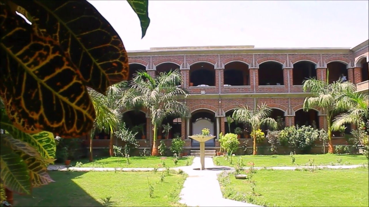 LIFE OF BCOM HONOURS MSU BARODA YouTube