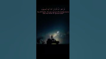 تلاوة تسعد روحك بصوت إسلام صبحي حالات واتس اب قران 💚🍃