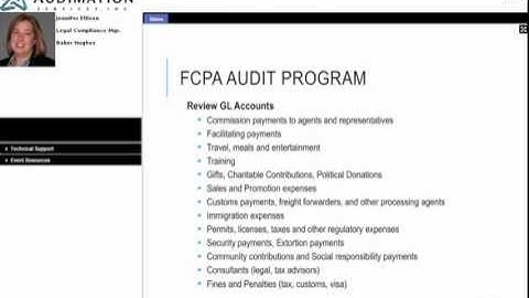 Webcast |  FCPA Compliance Auditing Using IDEA Data Analysis Software