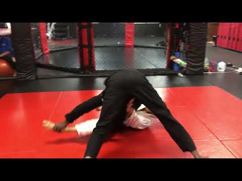 BQuick Brown and Purple rolling