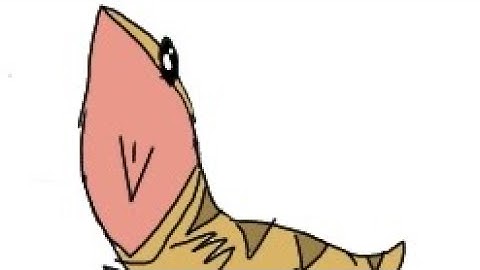 Coming on 25/12/2025 for my fans :) | Animation Reveal 