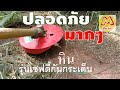 รีวิว จานดายหญ้า รุ่นเซฟตี้กันกระเด็น ปลอดภัยมากๆ ทะลุทะลวงเหมือนเดิม