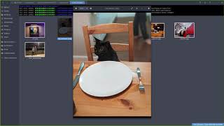 Developing with the BrainFrame REST API: Searching through Images