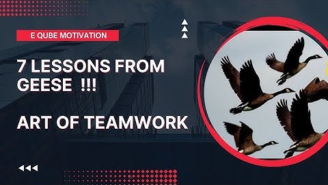 7 Lessons from Geese | The Art of Geese | Geese Teamwork  🪶