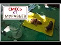 ПРИГОТОВИЛ смесь от МУРАВЬЁВ