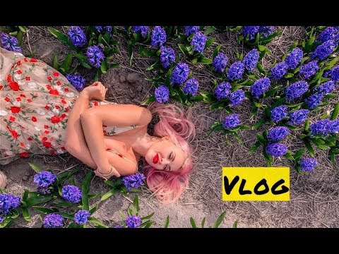 Цветочные поля, ночь в замке, крутая книга, Херлен, красивые дома ♥ Lucky Lina