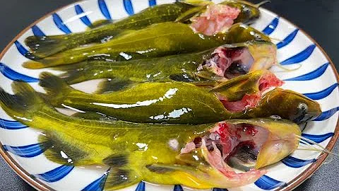 黃骨魚這種做法真是絕了，營養美味老少皆宜，我家一周吃5次 - 天天要聞