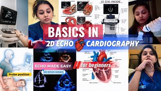 2D ECHO BASICS  Made EASY!🫀I Wish Someone Taught Me ECHO Like This! #education #echocardiography