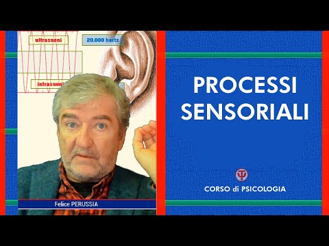Video: Come si scrive sensorialmente?