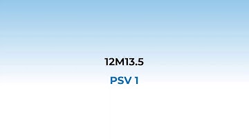 2. 12M13.5 PSV 1 Random Variable and Probability Distribution
