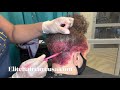 She got a bad hair cut| Coloring her hair red| Tapered cut on natural hair