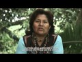 Indigenous community forest enterprise in the peruvian amazon