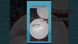 PBL BIOLOGI TINGKATAN 4 (JERUK MANGGA)