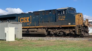 CSX I010-02 with 3139 Leading